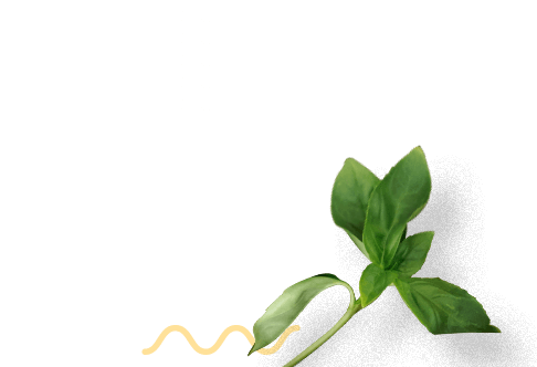 Corte y Peinado Profesional